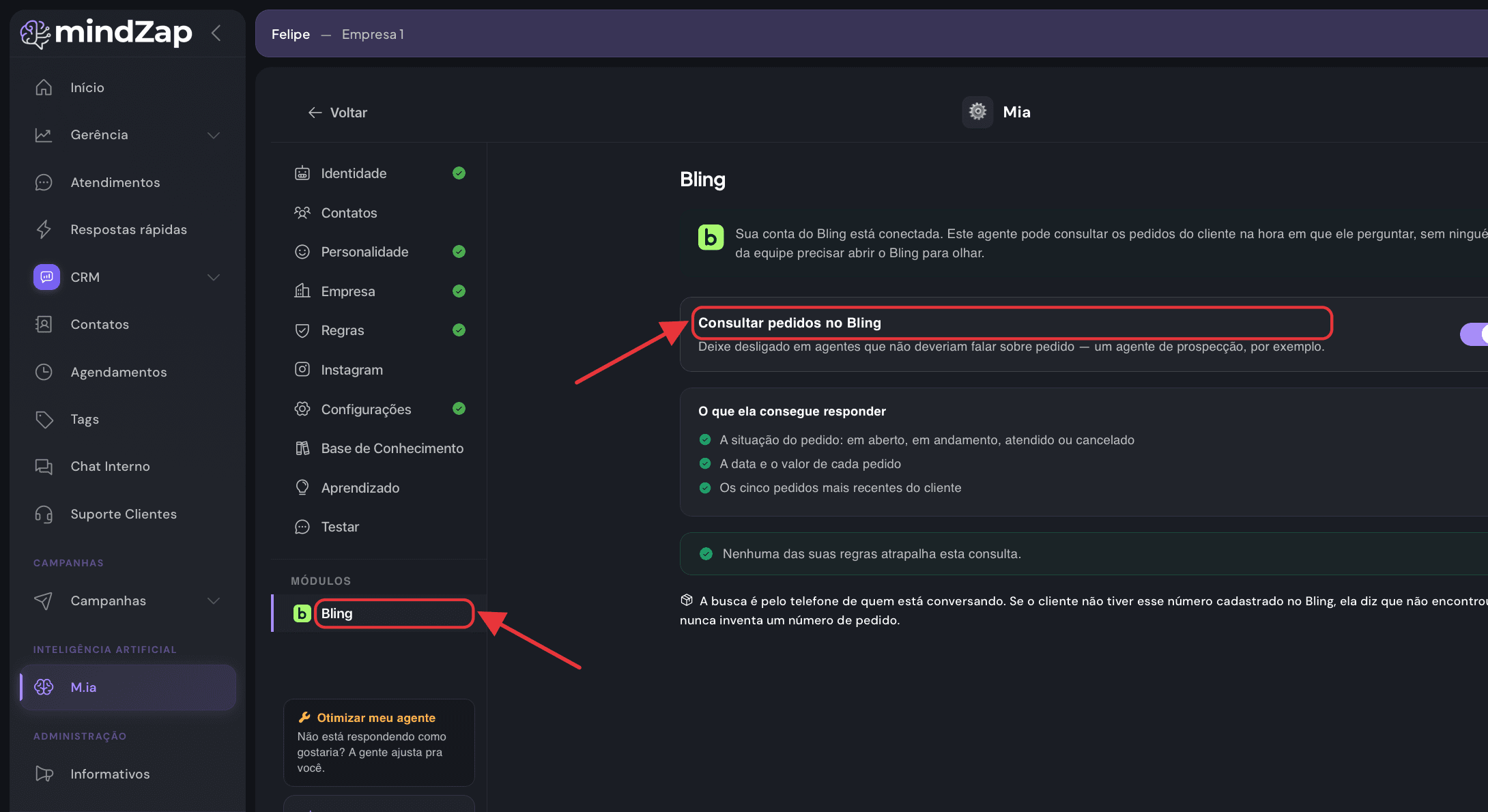 Editor do agente da M.ia com o módulo Bling aberto e a chave de consulta destacada